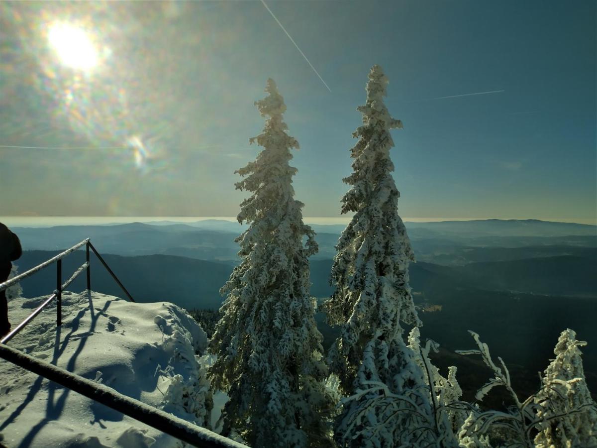 Huettenzauber Ferienwohnung Mitten Im Nationalpark Lindberg Exterior foto